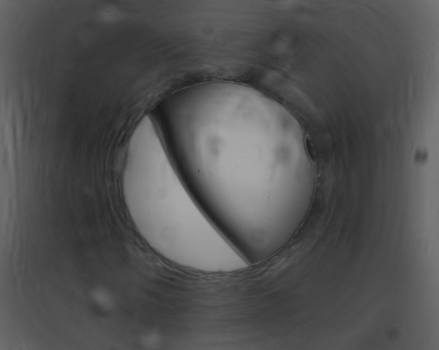 X0000095531058200712140929