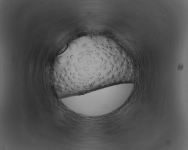 X0000095531059200712140929