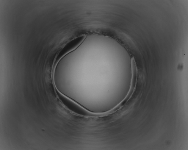 X0000095531060200712140929