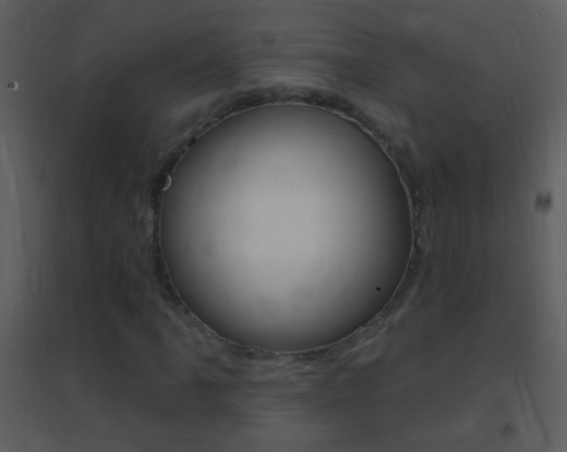 X0000095531061200712140929