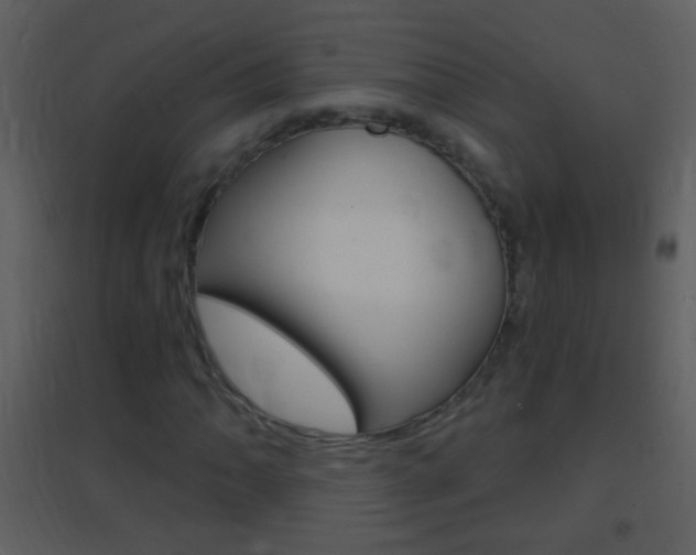 X0000095531062200712140929