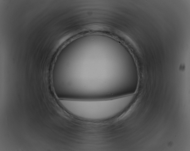 X0000095531065200712140929