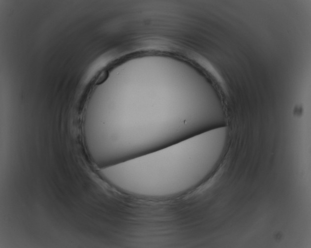 X0000095531067200712140929