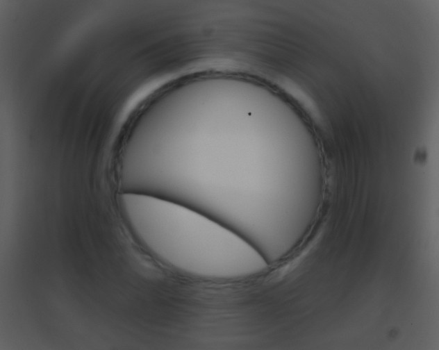 X0000095531070200712140929