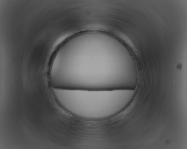 X0000095531071200712140929