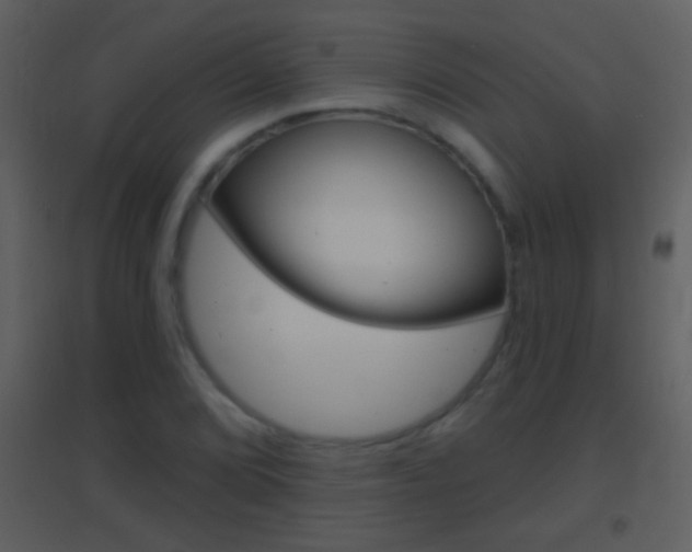 X0000095531072200712140929