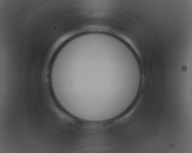 X0000095531074200712140929