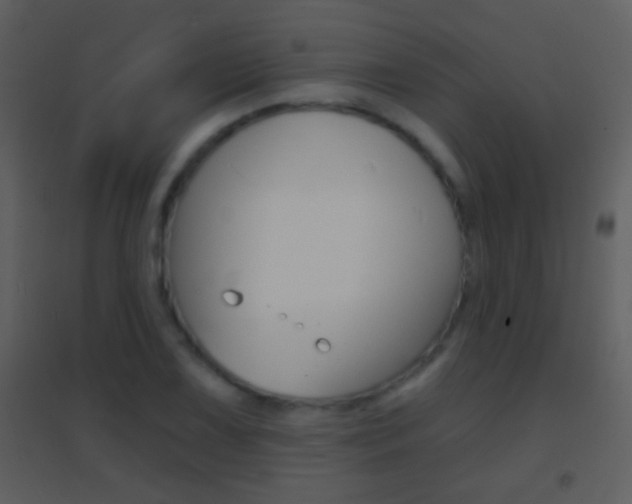 X0000095531075200712140929