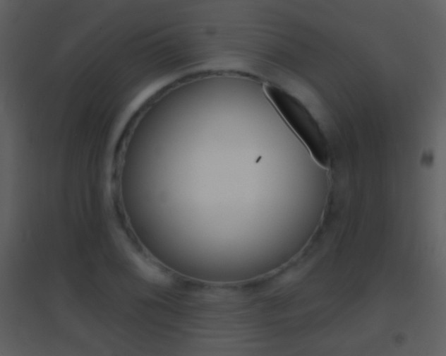 X0000095531076200712140929