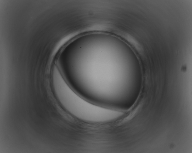 X0000095531077200712140929