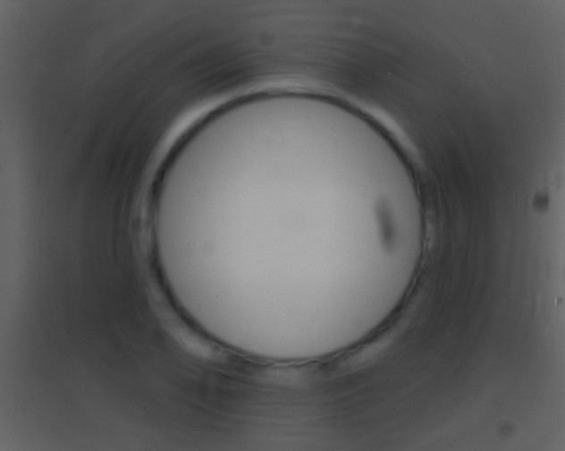 X0000095531078200712140929