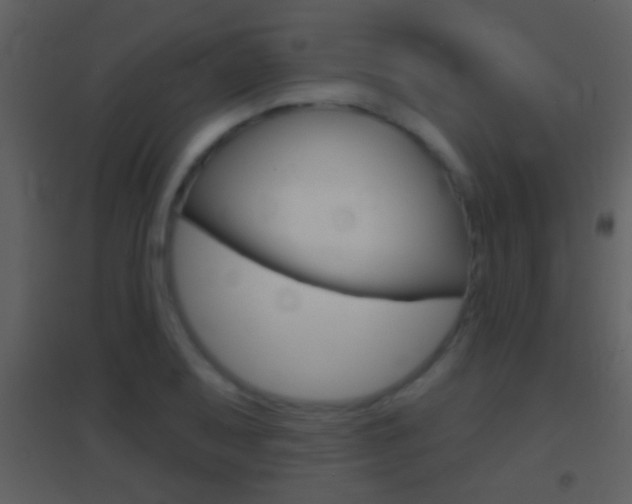 X0000095531079200712140929