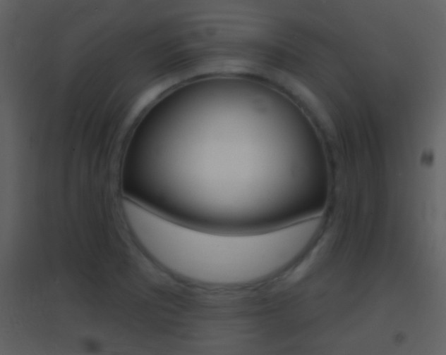 X0000095531081200712140929