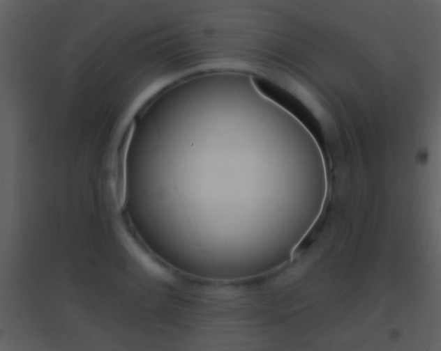 X0000095531084200712140929