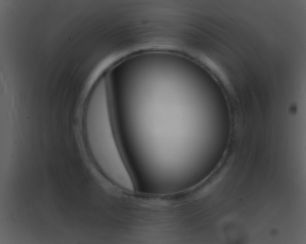 X0000095531085200712140929