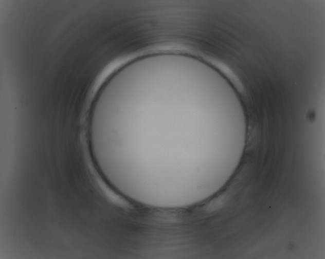 X0000095531086200712140929