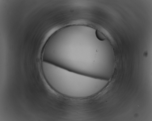 X0000095531087200712140929