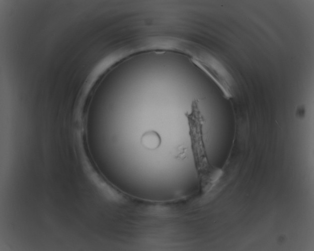 X0000095531088200712140929