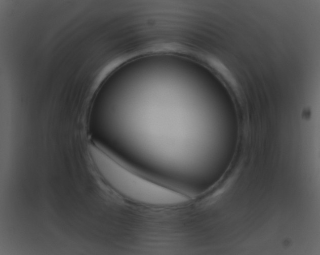 X0000095531089200712140929