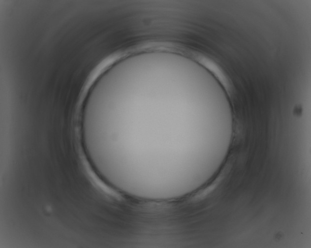 X0000095531090200712140929