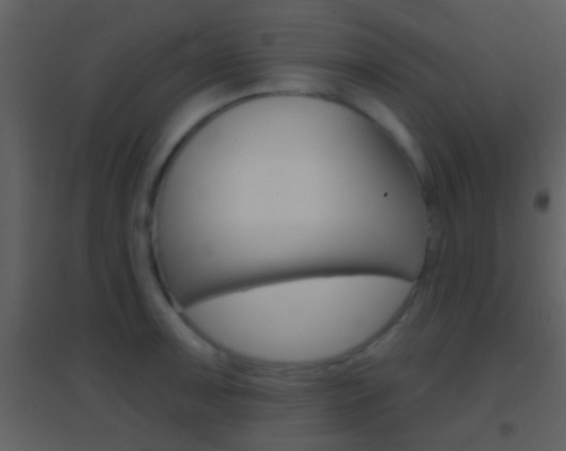 X0000095531091200712140929