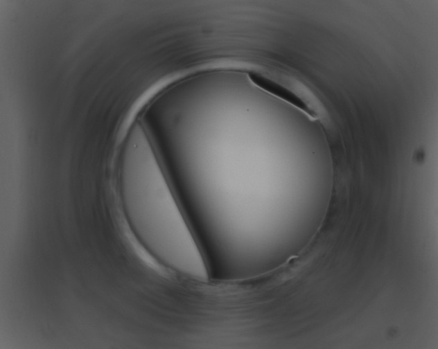X0000095531092200712140929