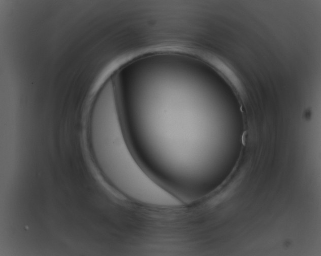 X0000095531093200712140929