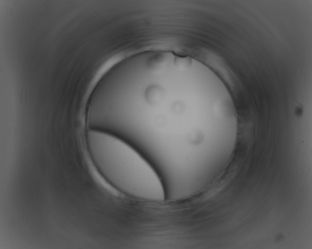 X0000095531095200712140929