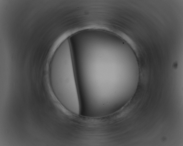 X0000095531096200712140929