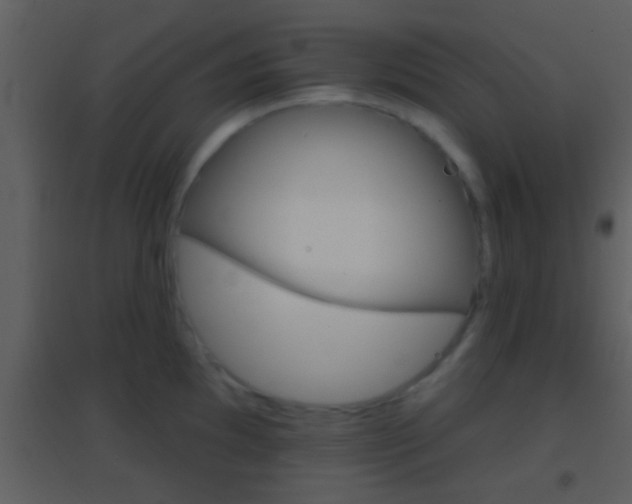 X0000095531097200712140929