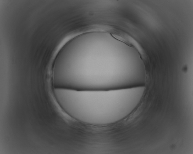 X0000095531099200712140929