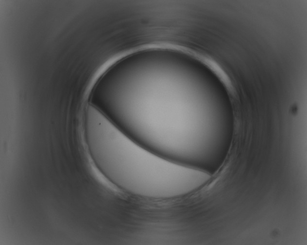 X0000095531100200712140929