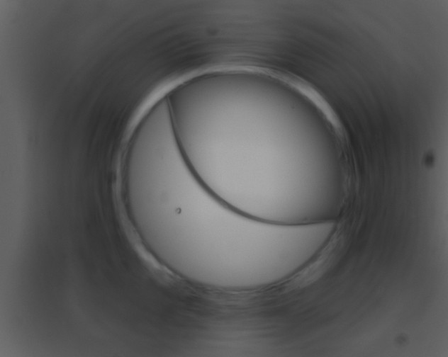 X0000095531101200712140929
