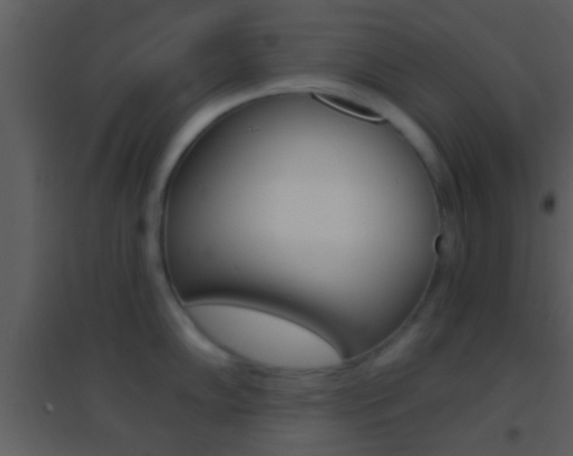 X0000095531102200712140929