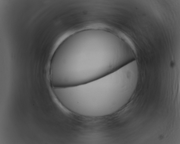 X0000095531103200712140929