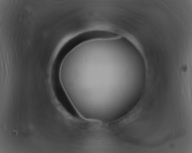 X0000095531104200712140929