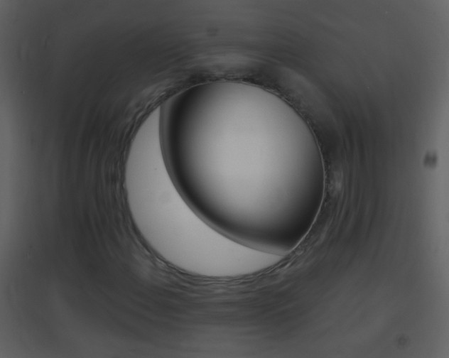 X0000095531108200712140928