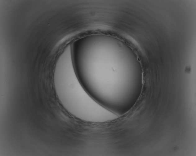 X0000095531112200712140928