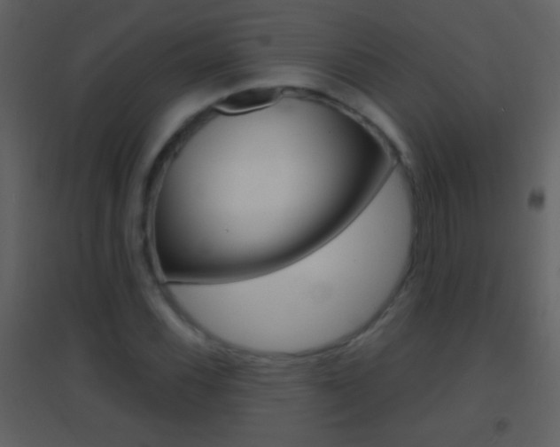 X0000095531116200712140928