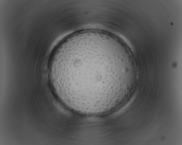 X0000095531117200712140928