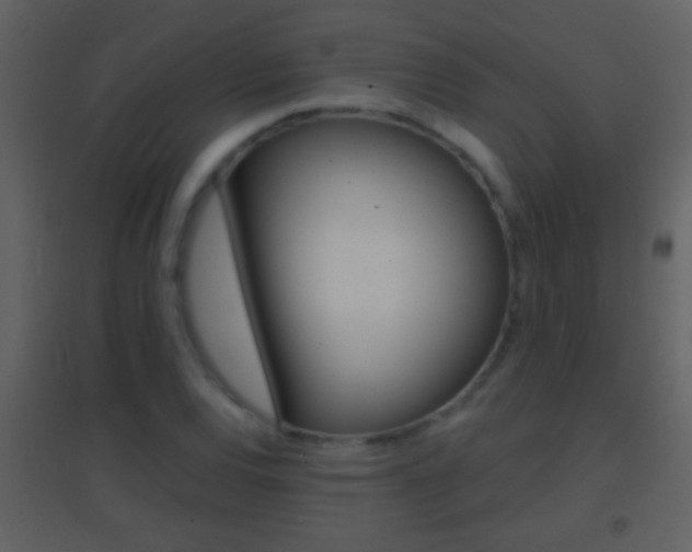 X0000095531120200712140928