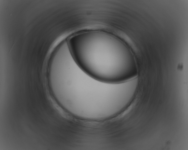 X0000095531122200712140928