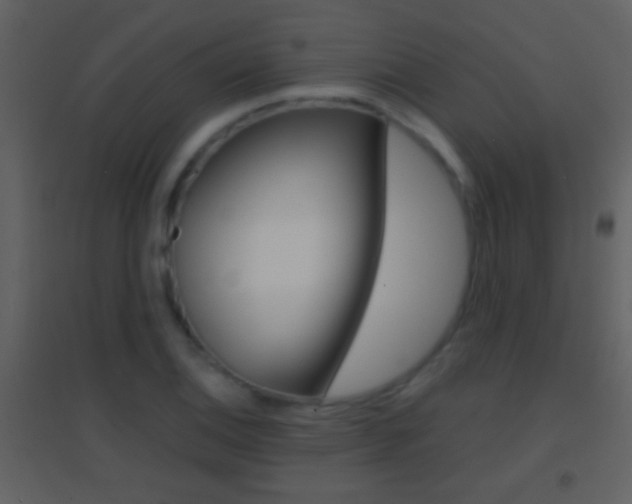 X0000095531124200712140928