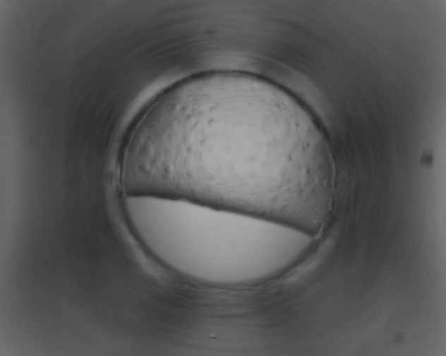 X0000095531125200712140928