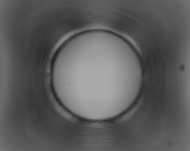 X0000095531126200712140928
