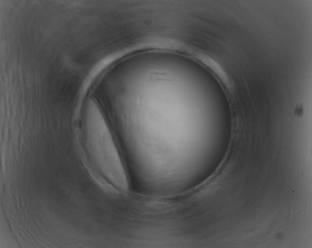 X0000095531128200712140928