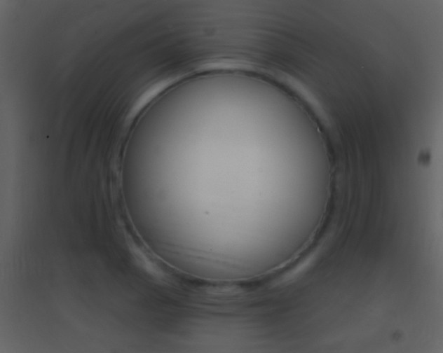 X0000095531129200712140928