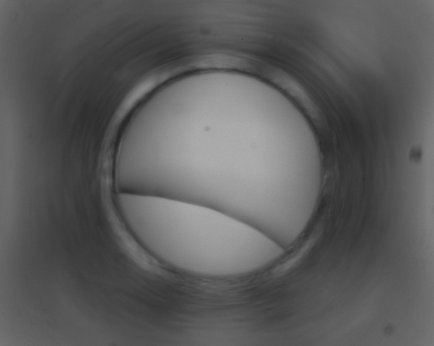 X0000095531130200712140928