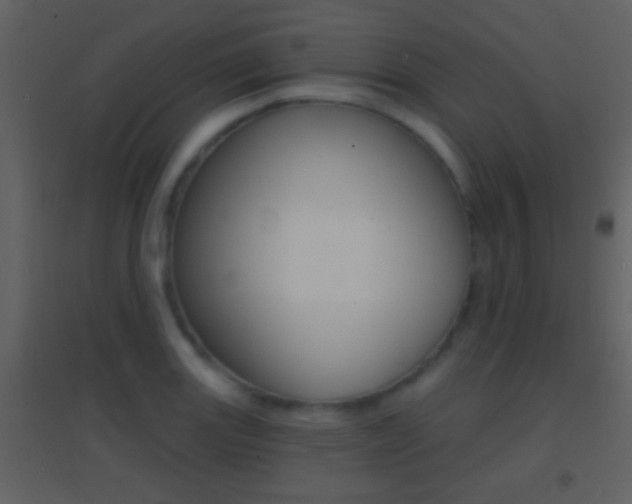 X0000095531131200712140928