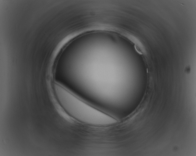 X0000095531136200712140928